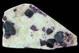 Dark Purple Cubic Fluorite on Quartz - China #94315-1